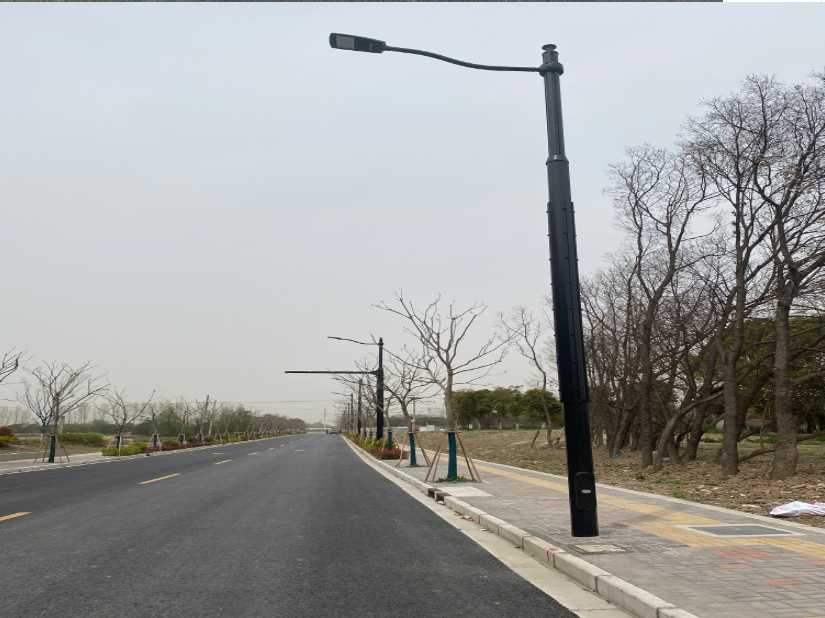 红河哈尼族彝族自治州上海综合杆 太阳能路灯工程